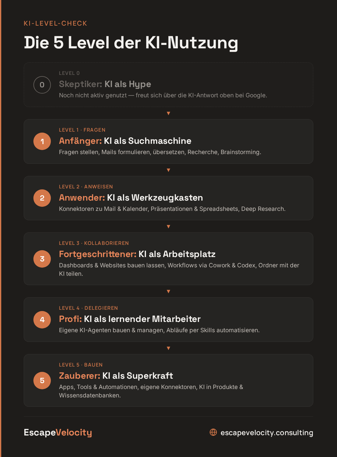 Die 5 KI-Level — Infografik